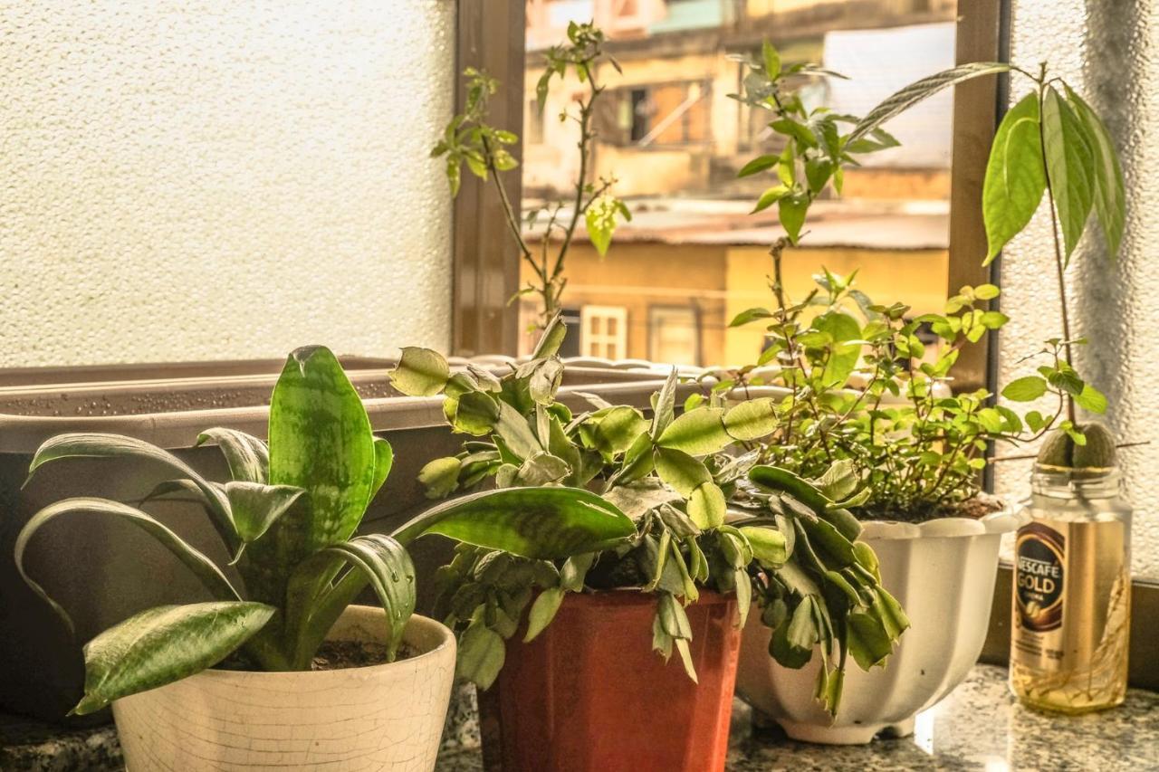 Dora Hostel Dalat Exteriér fotografie